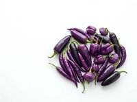Isolated fresh purple eggplants and long thin chili peppers with green stems arranged on white background for culinary, cooking, recipe, and food styling design projects.
