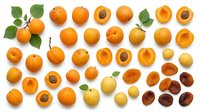 Fresh apricots collection with whole fruits, halves showing pits, and green leaves arranged on white background for healthy food designs.