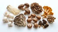 Assorted fresh mushroom varieties including shiitake, oyster, enoki, maitake and morel arranged on white background for culinary and cooking concepts.