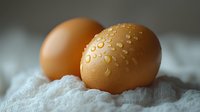 Fresh brown chicken eggs with water droplets on shell surface resting on soft white fabric, macro food photography with selective focus and natural lighting.