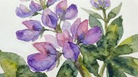 Watercolor purple flowers with green leaves on white background. Botanical floral artwork for spring decorations, greeting cards, wedding invitations.