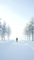 Solitary figure walking down snowy forest road lined with frost-covered trees under overcast sky. Winter landscape suitable for travel, wellness, and contemplation themes.
