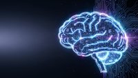 Digital brain with glowing neural networks and circuit board patterns representing artificial intelligence, machine learning and futuristic technology concepts.