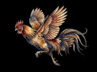 Rooster with raised wings isolated on transparent background, ready for t-shirt designs, clipart, stickers, sublimation, and print-on-demand products.