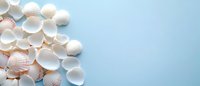 White seashells scattered on light blue background with copy space, creating minimal coastal composition for summer beach design and decoration.