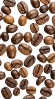 Roasted coffee beans scattered on white background, isolated for cafe branding, beverage packaging design, restaurant menus and coffee shop marketing materials.