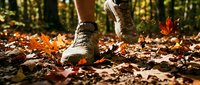 Hiker in white boots walking through autumn forest covered with fallen golden leaves and natural woodland debris during fall season.
