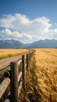 Wooden fence line through golden wheat field with mountain range under dramatic cloudy sky, rural farming landscape for agricultural and countryside concepts.