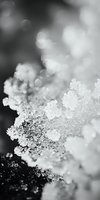 Frost-covered plant with delicate ice crystals glistening in soft light, creating a serene winter scene with blurred bokeh background suitable for seasonal designs.