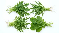 Fresh arugula and spinach leaves isolated on white background, ready for culinary design, food packaging, restaurant menus, and healthy eating content.