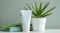 Blank white cosmetic tube with aloe vera plant in white pot on mint green background. Natural skincare concept with fresh succulent leaves.