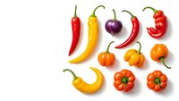Colorful hot chili peppers collection isolated on white background. Fresh spicy vegetables in red, yellow, orange and purple colors for cooking.