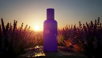 Purple cosmetic bottle in blooming lavender field at golden sunset. Natural skincare product photography for wellness and beauty branding campaigns.