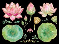 Lotus flowers and lily pads isolated on transparent background. Ready for t-shirt design, clipart, stickers, sublimation, print-on-demand products, and digital crafts.