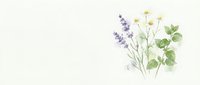 Delicate watercolor herbs and wildflowers arrangement with lavender sprigs and green foliage on clean white background for natural botanical designs.