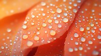 Vibrant coral flower petals with morning dew drops creating natural pattern. Macro photography reveals delicate water beads on soft organic surface in warm tones.