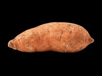 Sweet potato isolated on transparent background, ready for T-shirts, stickers, clipart, print on demand, and sublimation designs. Fresh organic root vegetable clipart.
