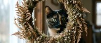 Tabby cat with striking green eyes peering through dried fern fronds and natural foliage, creating a curious and playful composition for pet and nature content.
