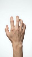 Male hand reaching upward isolated on white background for design and communication concepts.