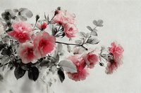 Delicate pink roses with buds and leaves in soft watercolor style, combining vibrant florals with monochrome elements for elegant wall art or greeting card design.