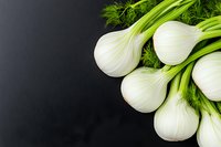 Fresh organic fennel bulbs with green fronds arranged on dark background, copy space for text. Food photography for healthy cooking and recipes.