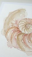 Watercolor nautilus shell painting in soft earth tones on textured paper. Delicate marine fossil artwork with natural spiral pattern for coastal decor.