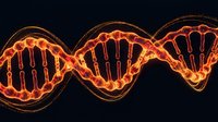Glowing DNA double helix structure with orange and red light effects on dark background for genetic research and biotechnology concepts.