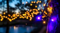 Glowing purple and golden bokeh lights create magical evening ambiance with string lights reflecting on water surface, festive outdoor decoration for events.