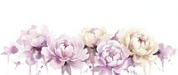 Watercolor peony flowers in soft purple and cream tones with delicate splashes, perfect for wedding invitations, feminine branding and romantic designs.