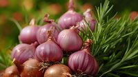 Fresh purple and brown onions with green rosemary sprigs arranged on rustic wooden surface, natural lighting creates appetizing food composition for cooking blogs.