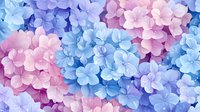 Delicate hydrangea flowers in soft pink and blue pastel colors create romantic floral background. Dreamy spring garden composition for wedding designs and feminine projects.