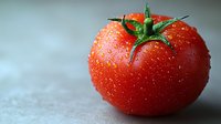 Fresh ripe tomato with water drops and green stem on light background, macro photography for food industry and healthy eating concepts.