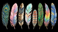 Colorful decorative feathers set isolated on transparent background, ready for stickers, t-shirt design, sublimation, print on demand, and clipart projects.