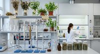 Female scientist in white lab coat conducting plant research in modern laboratory with green specimens and scientific equipment for botanical studies.