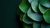 Layered green leaves creating natural pattern with dark background and shallow depth of field. Macro photography shows detailed leaf texture and veins.