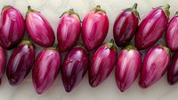 Fresh ripe purple eggplants arranged in neat rows on white background, showing natural variations in color and size, highlighting organic produce and farm freshness.