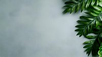 Green tropical palm leaves on gray concrete background with copy space for text, minimal nature layout for creative design and advertising.