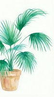 Watercolor potted palm plant with green feathery fronds in terracotta pot, isolated on white background. Suitable for home decor, botanical designs, and interior styling projects.