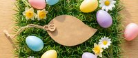 Easter celebration with colorful eggs, daisies and craft bird on green grass nest. Spring holiday decoration for greeting cards and seasonal designs.