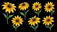 Bright yellow sunflowers with dark centers and green stems isolated on transparent background. Ready for t-shirt designs, clipart, stickers, sublimation, print-on-demand products, and digital crafts.