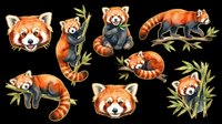 Watercolor red pandas in various poses with bamboo, isolated on transparent background. Clipart set for t-shirt design, stickers, print on demand, and sublimation projects.