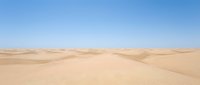 Vast desert landscape with rolling sand dunes under clear blue sky, suitable for travel, nature, and background design projects.