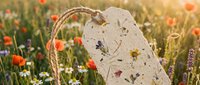 Dried wildflower petals and botanical specimens pressed into handmade paper sheet, displayed in blooming meadow field with red poppies and green grass during golden hour sunlight.