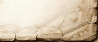 Aged parchment paper with torn edges and coffee stains creating vintage texture for historical documents, antique backgrounds, and retro design projects.