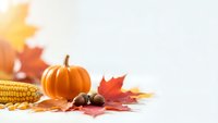 Autumn harvest composition with orange pumpkin, corn, acorns and colorful maple leaves on white background for seasonal decoration and thanksgiving designs.