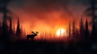 Majestic moose silhouette standing in misty forest during dramatic orange sunset with tall evergreen trees creating atmospheric wilderness landscape scene.