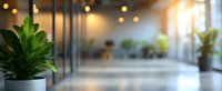 Green plant in concrete pot against blurred modern office interior with warm bokeh lights and window reflections creating peaceful workspace atmosphere.