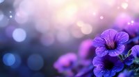 Purple petunias bloom with soft bokeh lights creating dreamy garden atmosphere for spring floral backgrounds and romantic design projects.