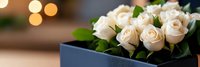 White roses bouquet in elegant dark box with warm bokeh lights background for romantic gifts and special occasions.