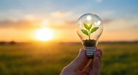 Hand holding light bulb with green plant sprout inside against golden sunset sky representing eco-friendly innovation and sustainable energy solutions.